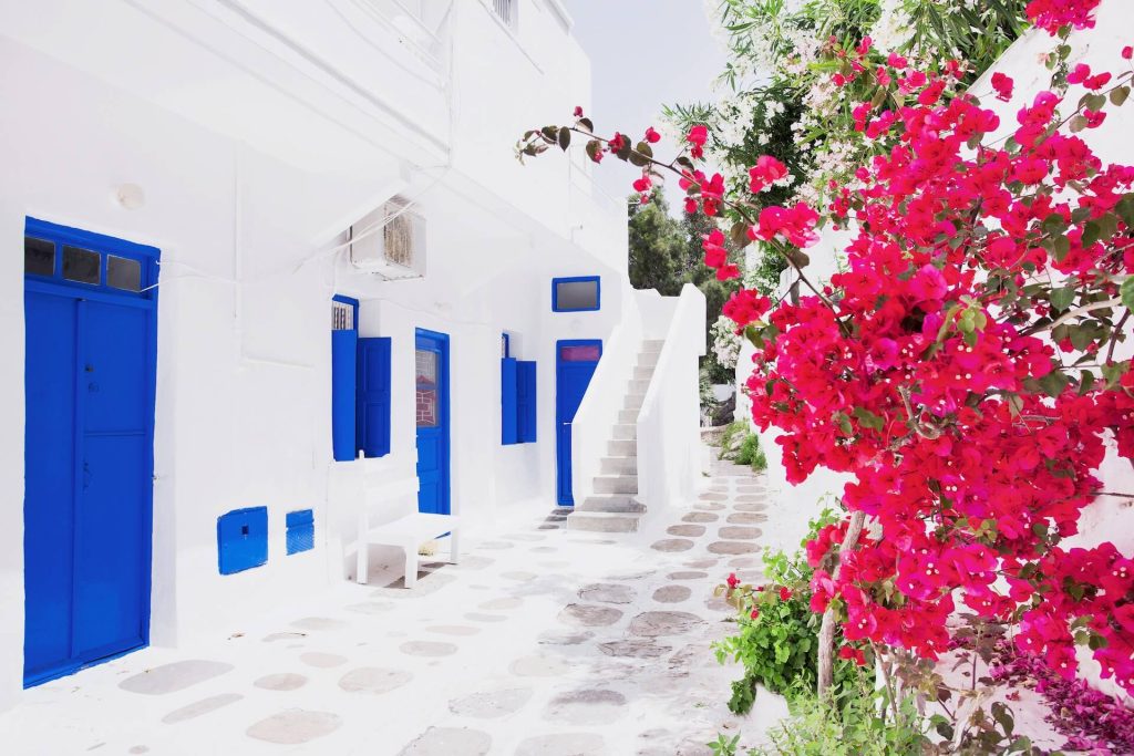 A street in Mykonos town, pink flowers on the right
