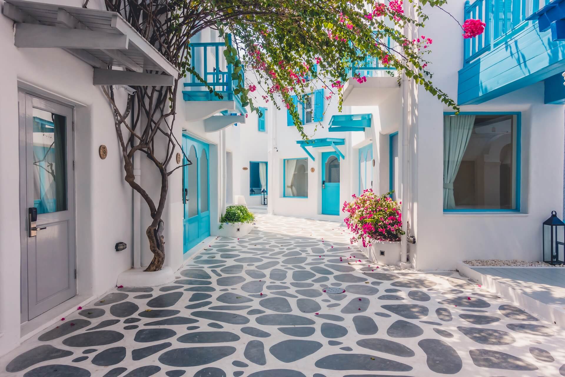 Narrow street in Mykonos town, with white houses surrounded by pink flowers
