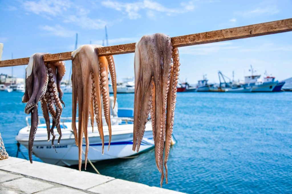 Octopus drying on the sun, sea, and boats behind them