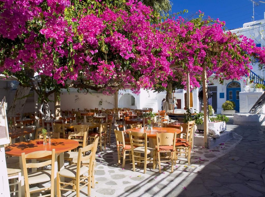 Street in Mykonos town with pink flowers