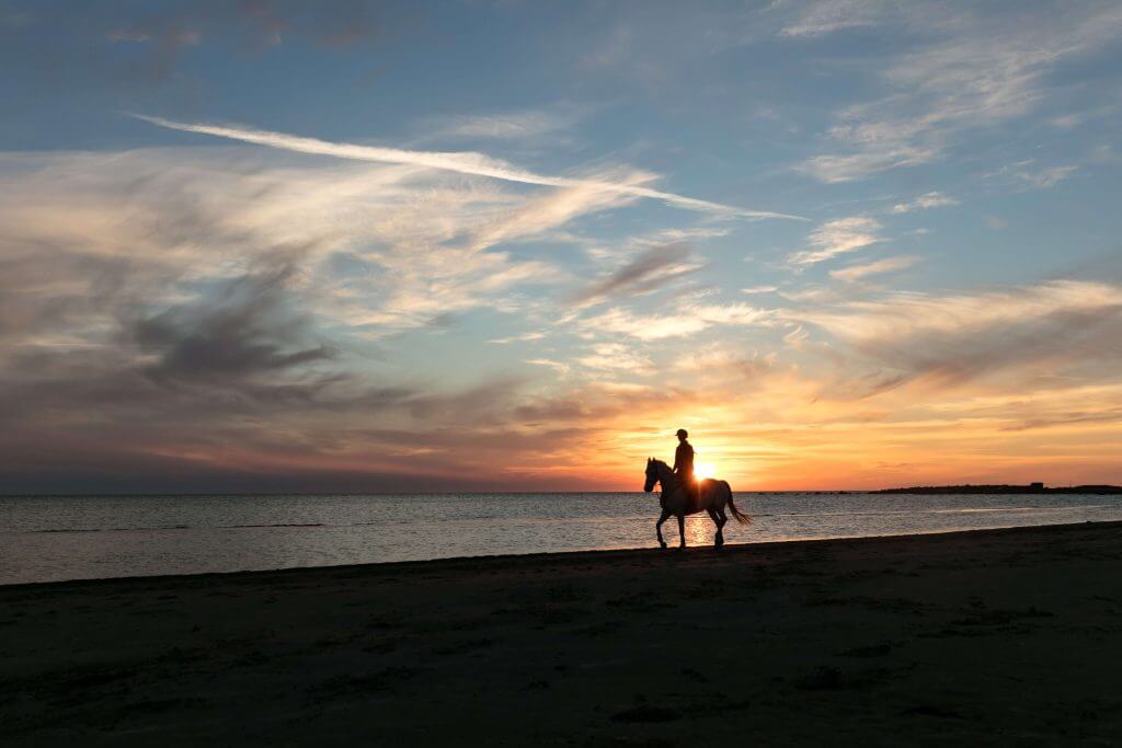 A person riding a horse on a Mykonian beach as the sun sets behind them