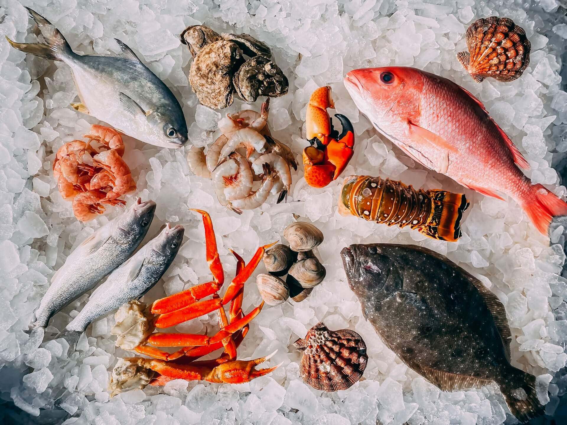 Frozen fishes and seafood on ice