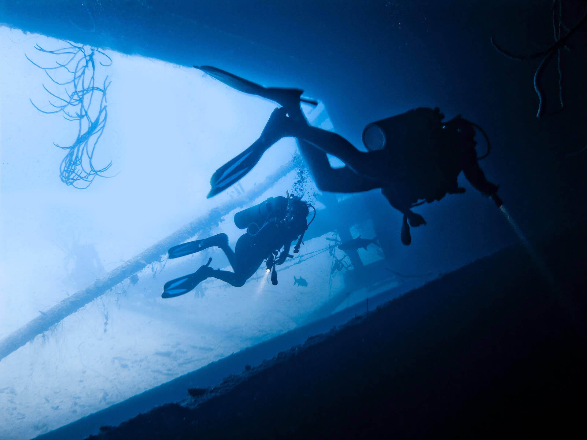 Divers exploring an underwater shipwreck