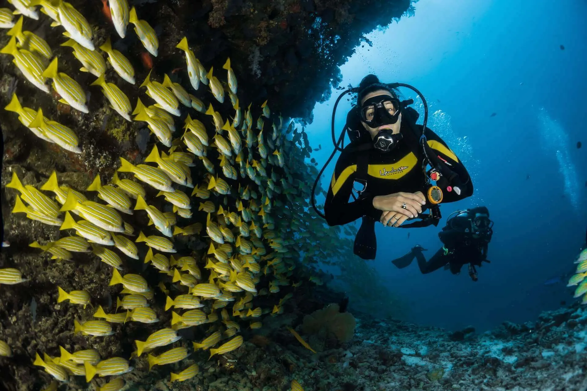 People underwater looking at the colorful fish