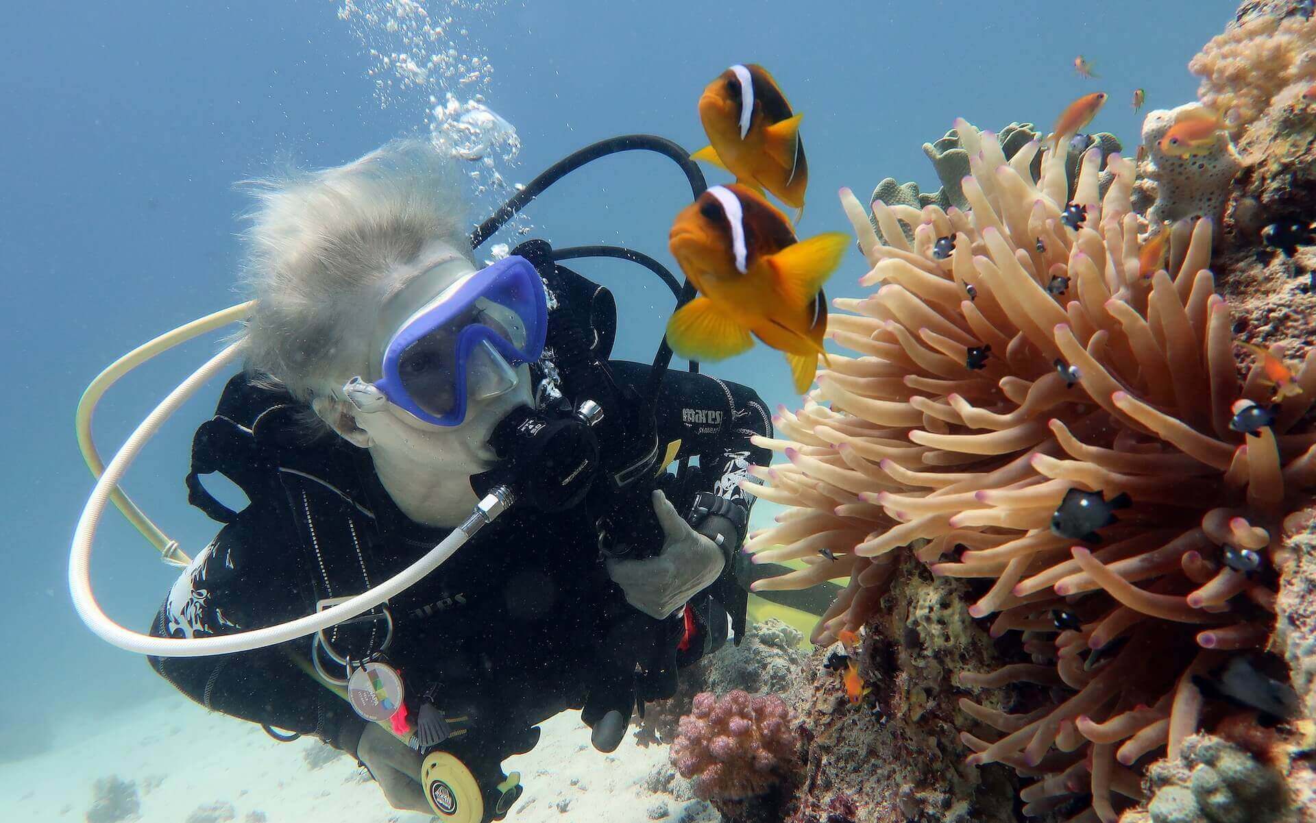 Person scuba diving and looking at the clownfish