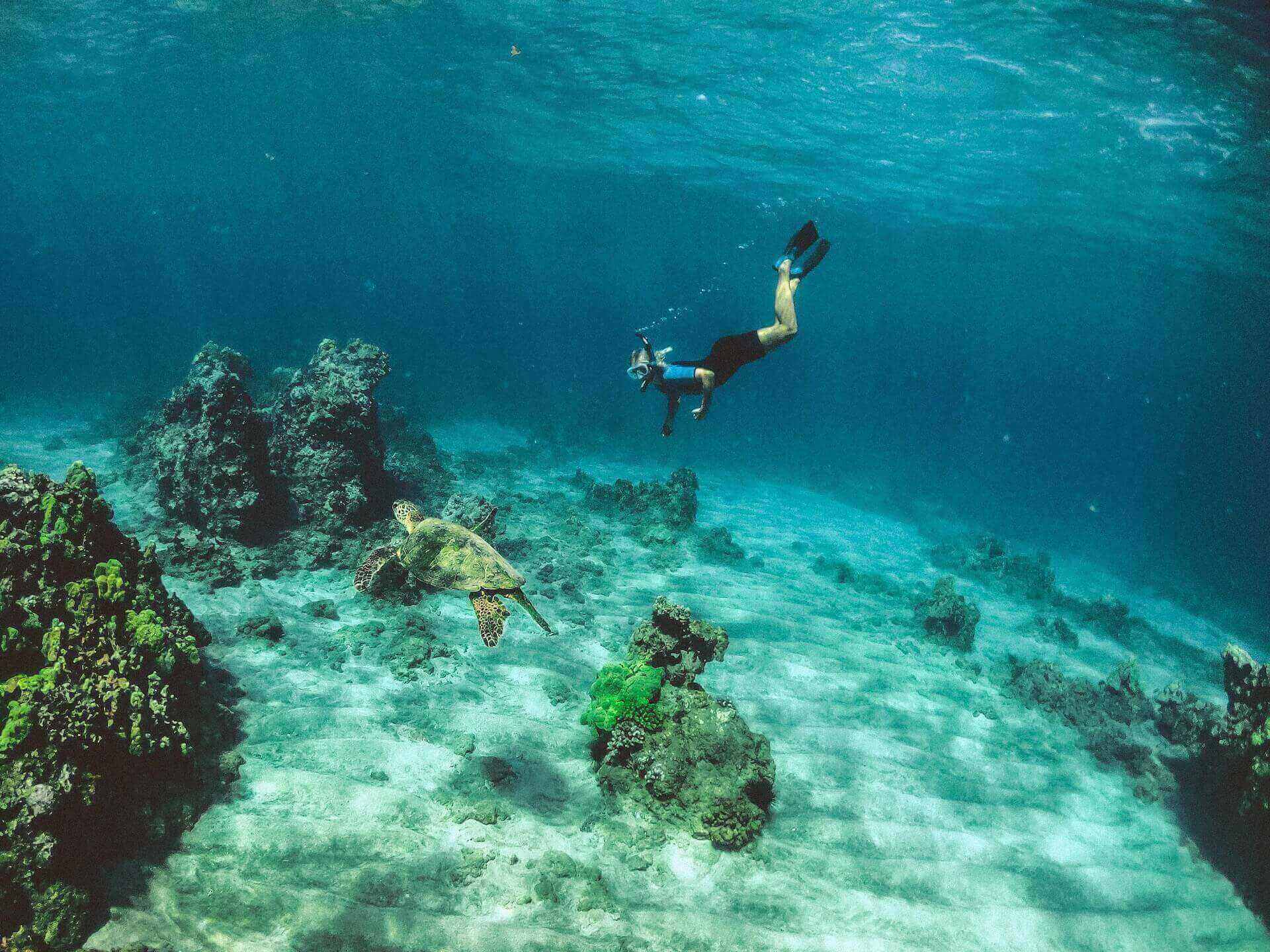 A man snorkeling in water