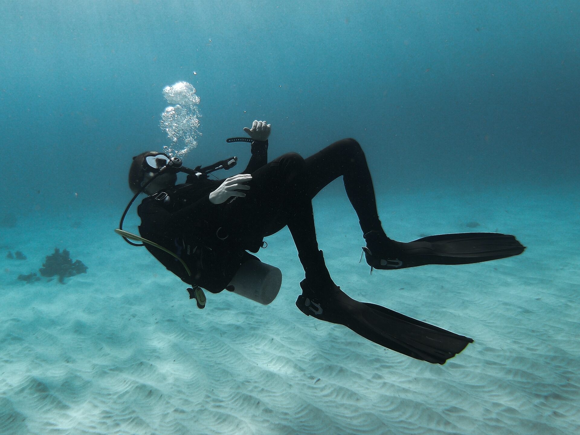 A diver in the water 