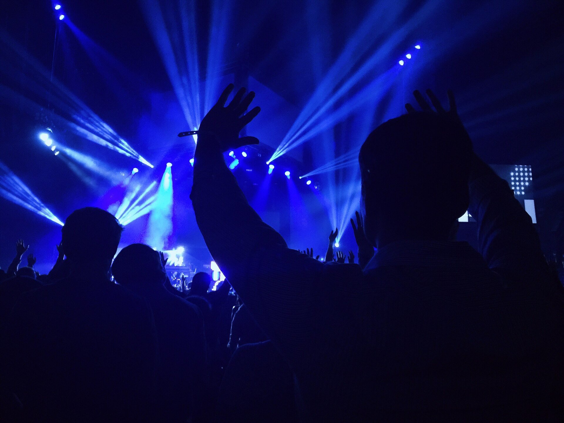 A person enjoying a live show