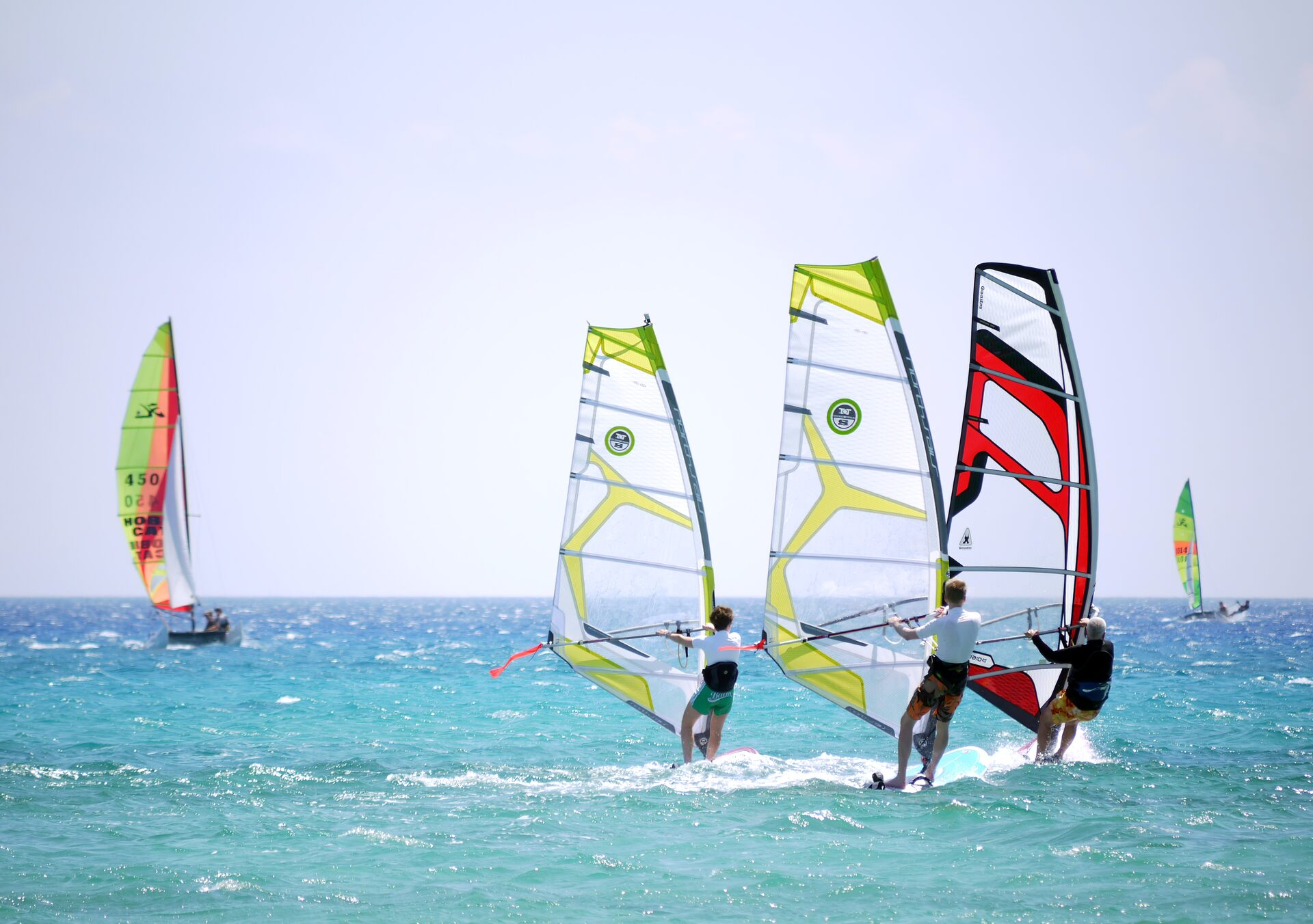 People windsurfing