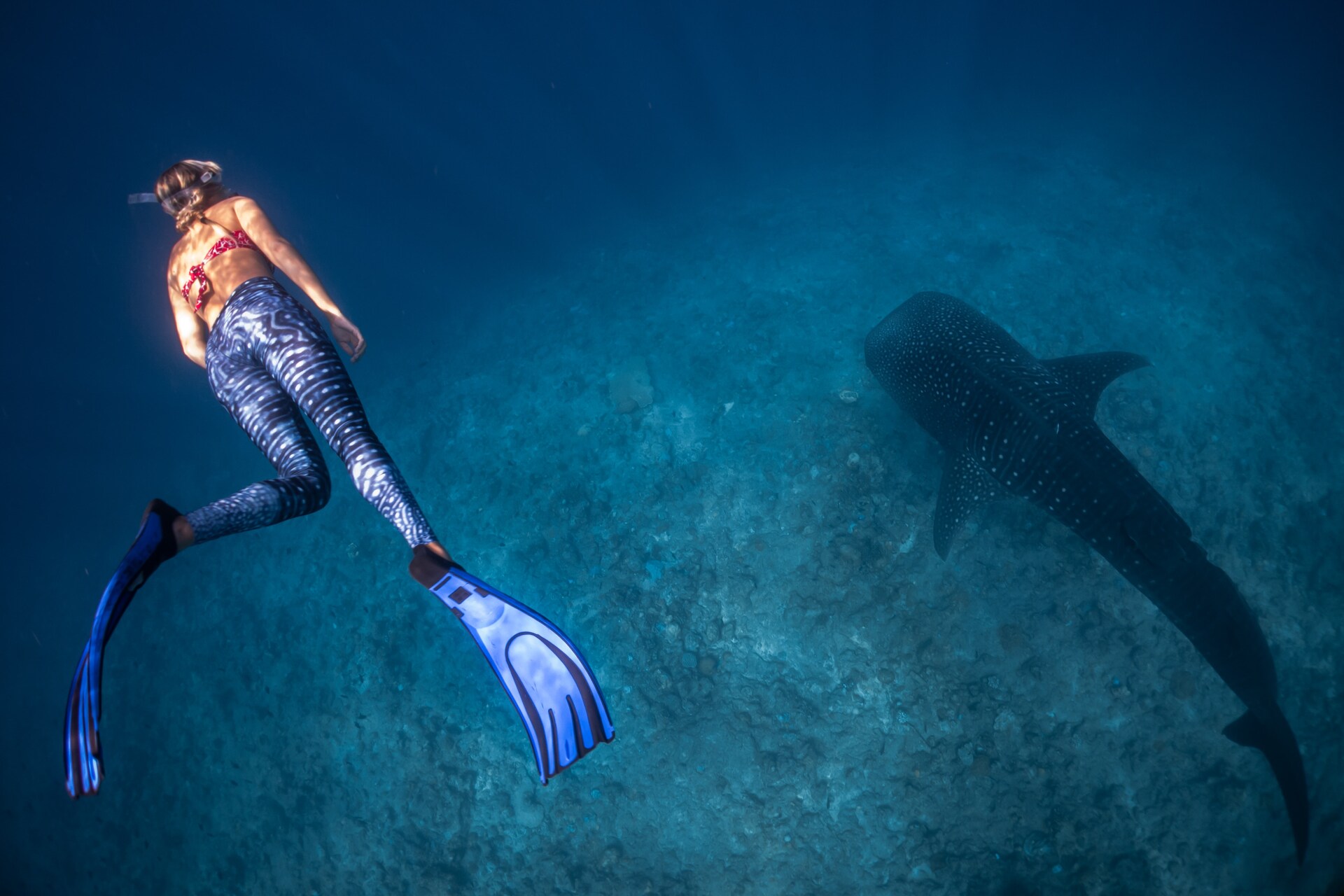 Woman diving in the sea