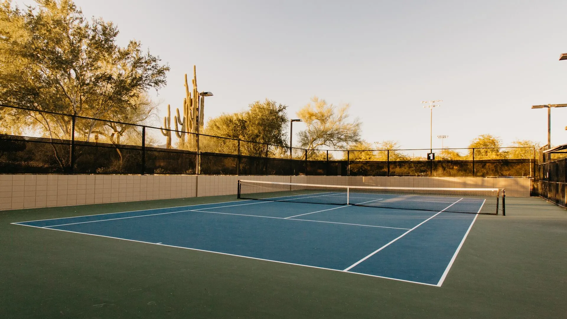 Tennis court