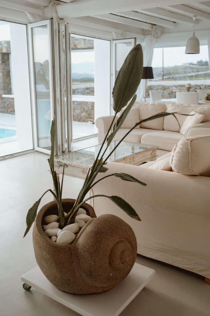 A plant in a fancy flower pot, Mykonos rental home.