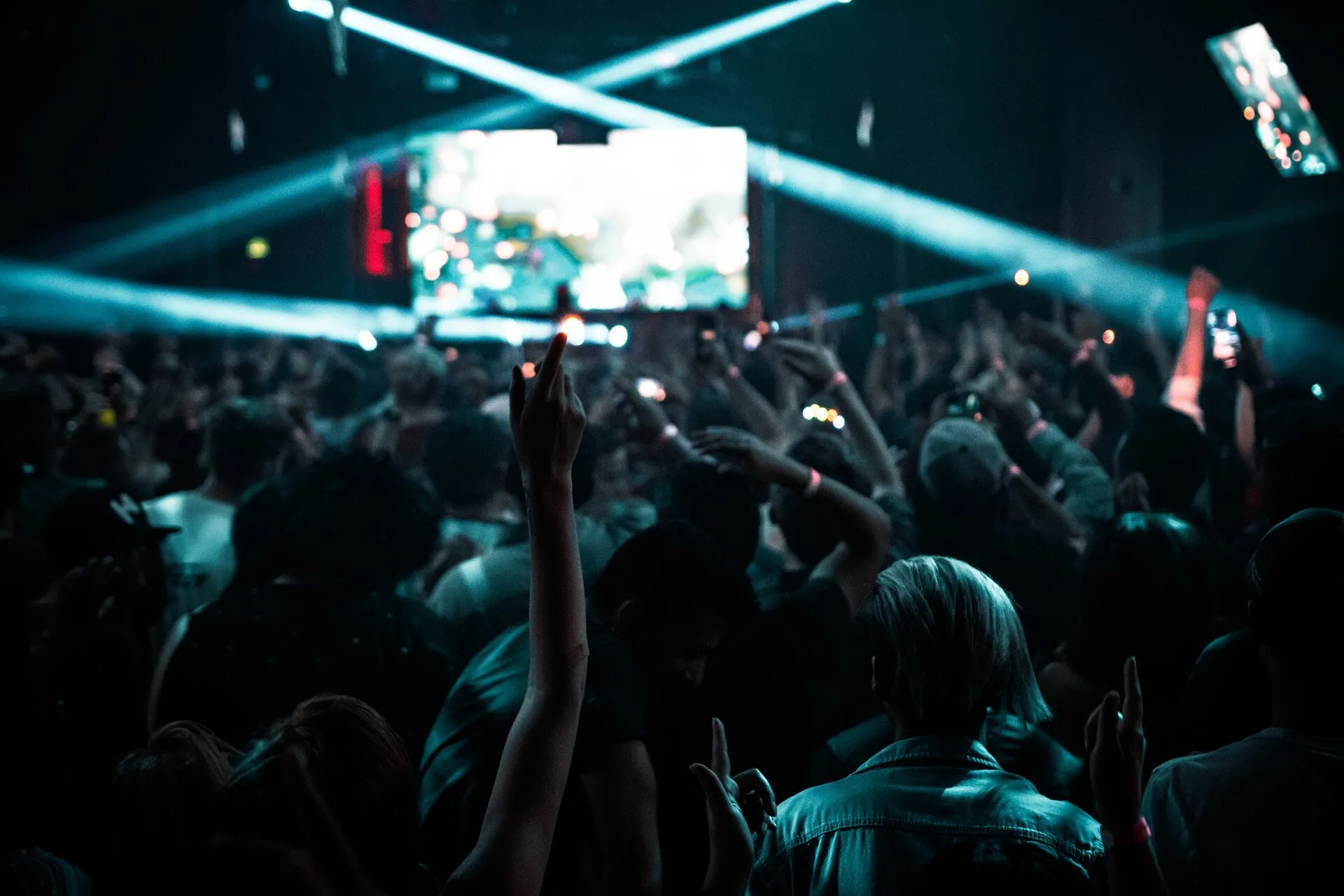 A party in a nightclub