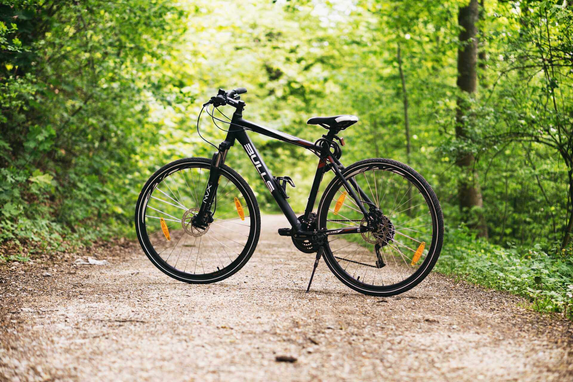 A bicycle between trees