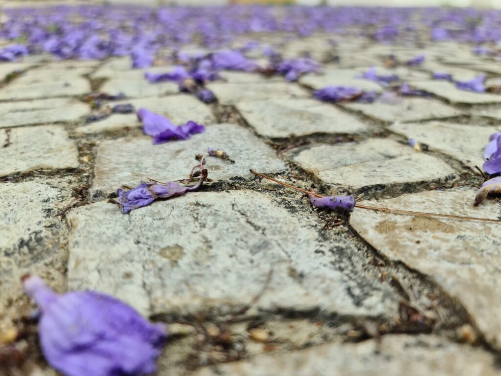 flowers on the floor