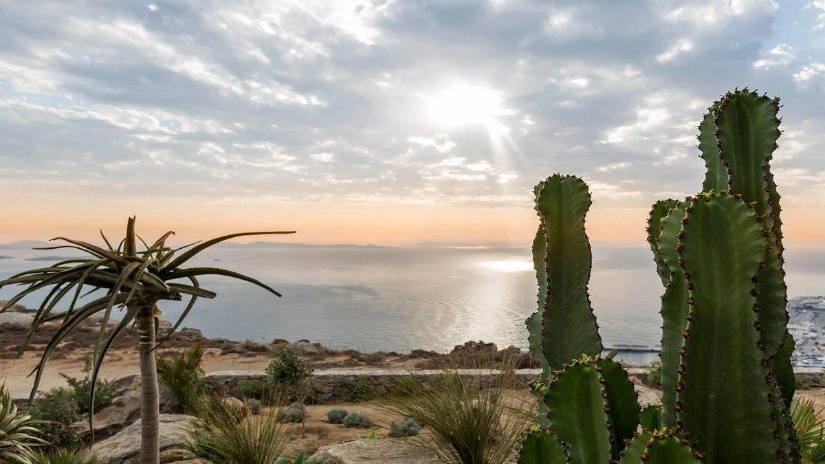 Nature on Mykonos