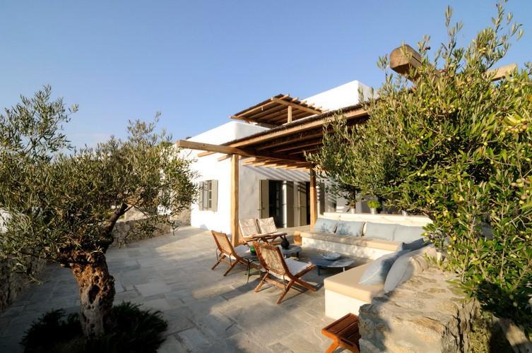 outside villa garden with olive tree and other plants ideal for chilling